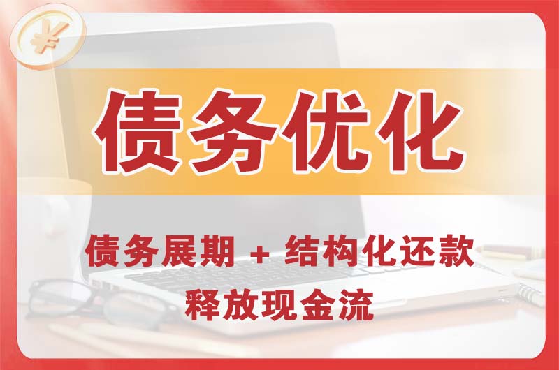 凤阳债务优化