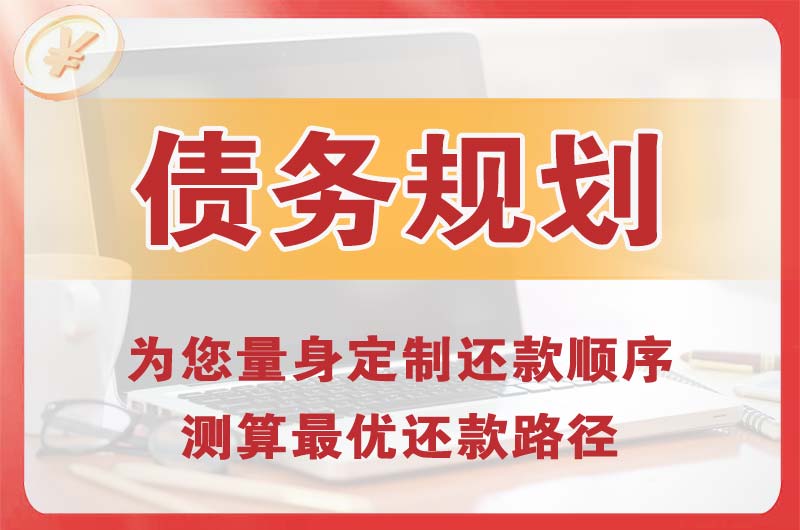 凤阳债务规划